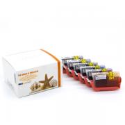 Alternativ Tintenpatrone MultiPack 1xPGI + 1x CLI Bk,C,M,Y 2x26,8ml + 3x13,4ml VE=5 (ersetzt Canon CLI-8BK CLI-8C CLI-8M CLI-8Y PGI-5BK) für Canon Pixma IP 4200/MP 610/MP 960