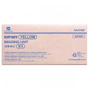 Konica Minolta IUP-36 Y (AAJV06E) Drum Unit