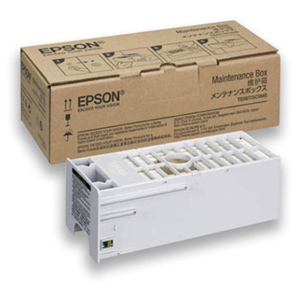 Epson T6997 (C 13 T 699700) Resttintenbehälter