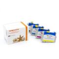 Alternativ Tintenpatrone MultiPack Bk,C,M,Y 14,6ml + 3x9,6ml VE=4 (ersetzt Epson 18XL) für Epson XP 30  kompatibel mit  