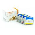 Alternativ Tintenpatrone MultiPack Bk,C,M,Y XL 14,6ml + 3x10ml VE=4 (ersetzt Epson 16XL) für Epson WF 2010/2660/2750  kompatibel mit  WorkForce WF-2010 W